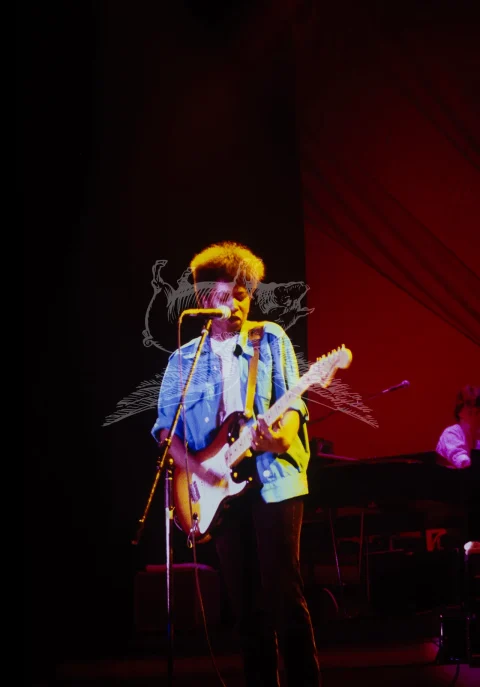 Joan Armatrading live at the Hammersmith Odeon 1984 (1 of 3 images)