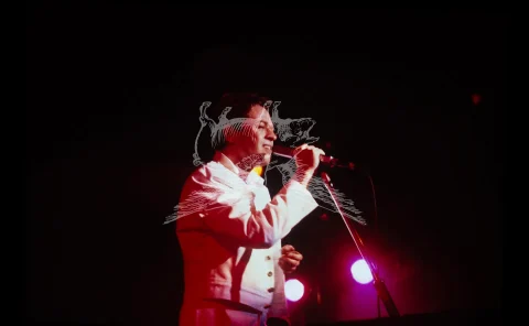 Robert Palmer live at the Gaumont Theatre, Southampton 1983