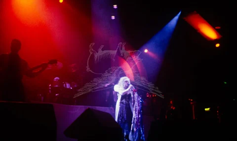 Stevie Nicks live at Wembley Arena 1990